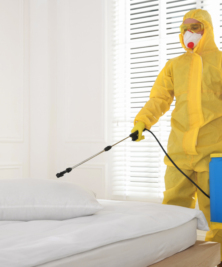 Professional Pest Control Team in Cheltenham